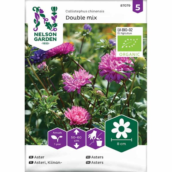 Dobbelt Asters mix Økologisk