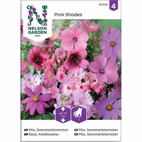 Sommerblomster 'Pink Shades'