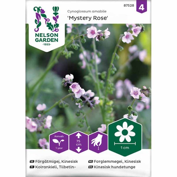 Kinesisk Forglem-mig-ej 'Mystery Rose'