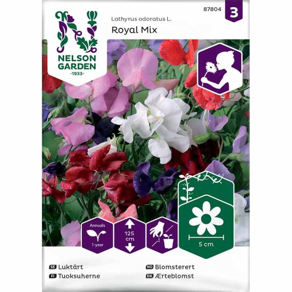 Ærteblomst 'Royal Mix'