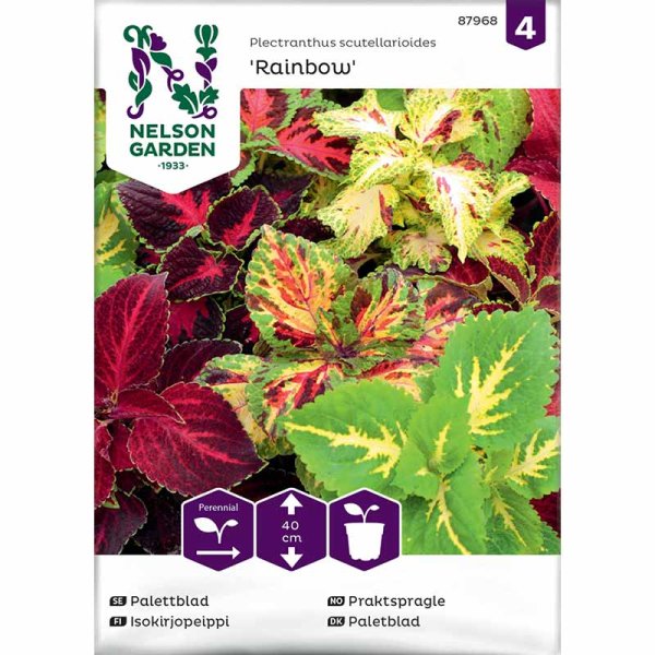 Paletblad 'Rainbow'