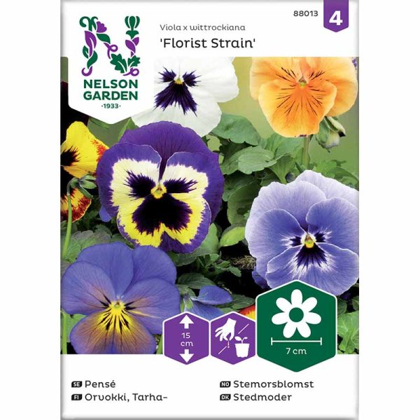 Stedmoderblomst 'Florist Strain' mix