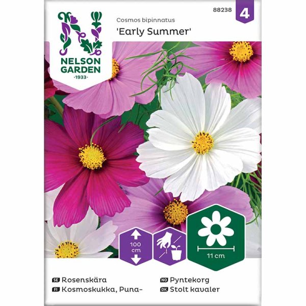 Kosmos 'Early Summer' mix