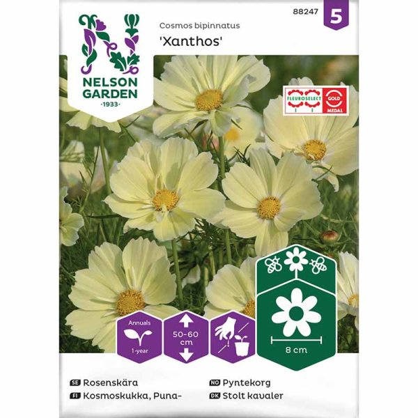Kosmos 'Xanthos'