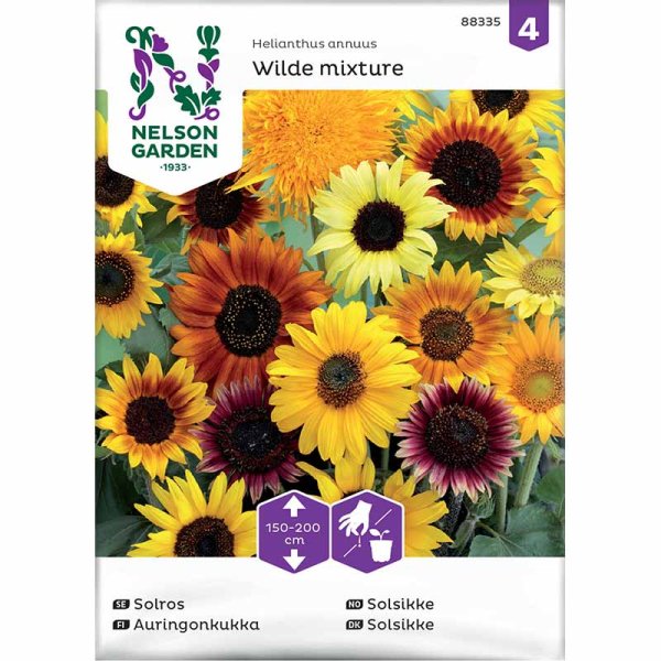 Solsikke 'Wilde mixture'