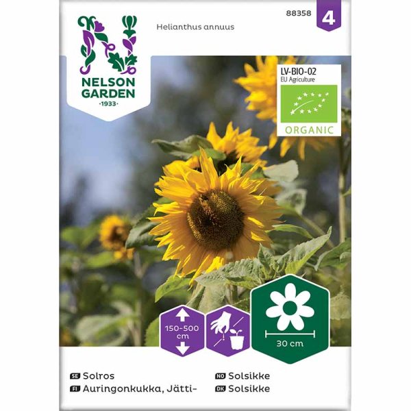 Giant Sunflower Organic