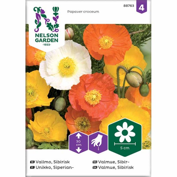 Sibirisk valmue blandede farver