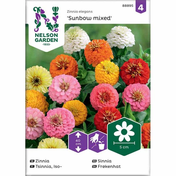 Zinnia Sunbow blandede farver