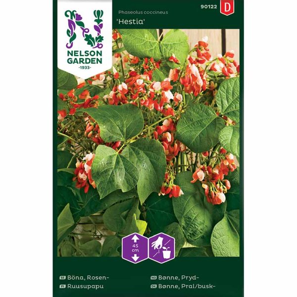 Blomsterbønne 'Hestia' / Blomsterbønne