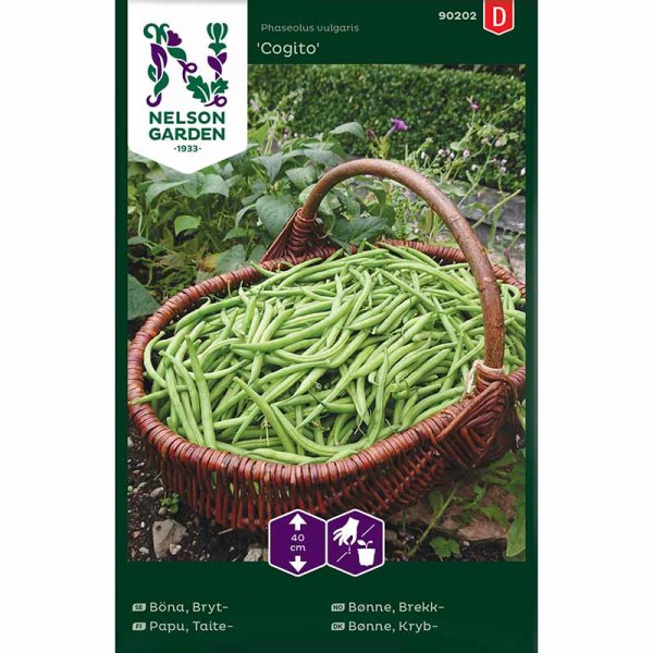 Snittebønne 'Cogito'