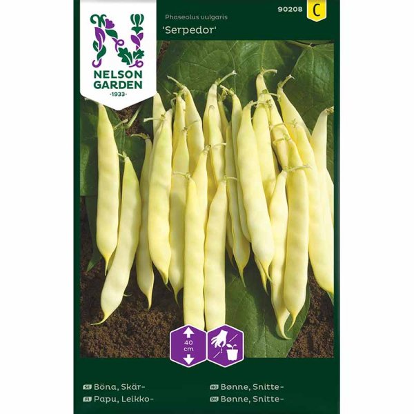 Snittebønne 'Serpedor'