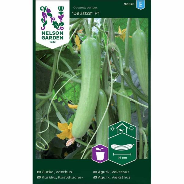 Drivhusagurk 'Delistar' F1