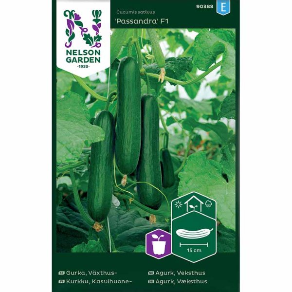 Agurk 'Passandra'F1