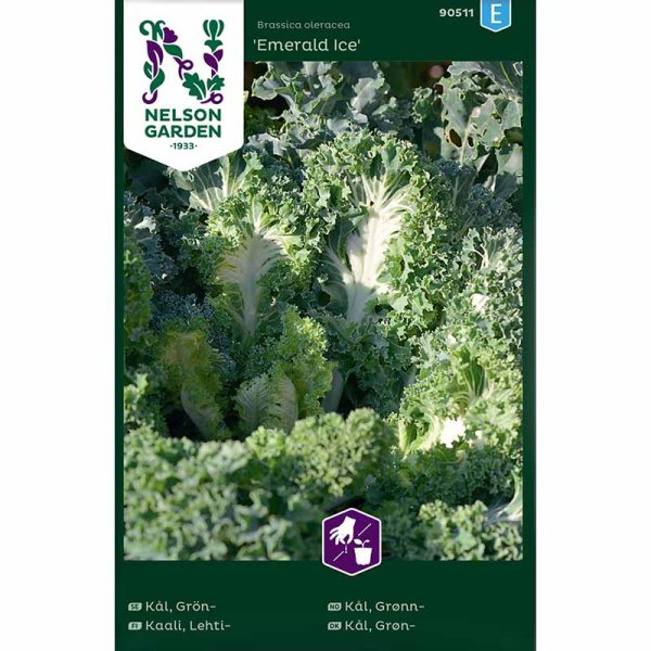 Grønkål 'Emerald Ice'
