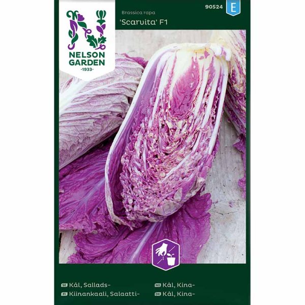 Salatkål 'Scarvita F1'