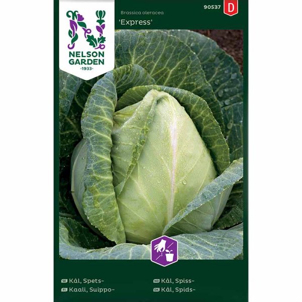 Spidskål 'Express'