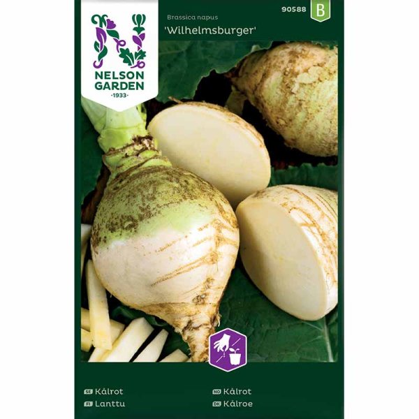 Majroe 'Wilhelmsburger'