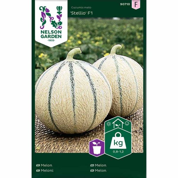 Melon 'Stellio'F1