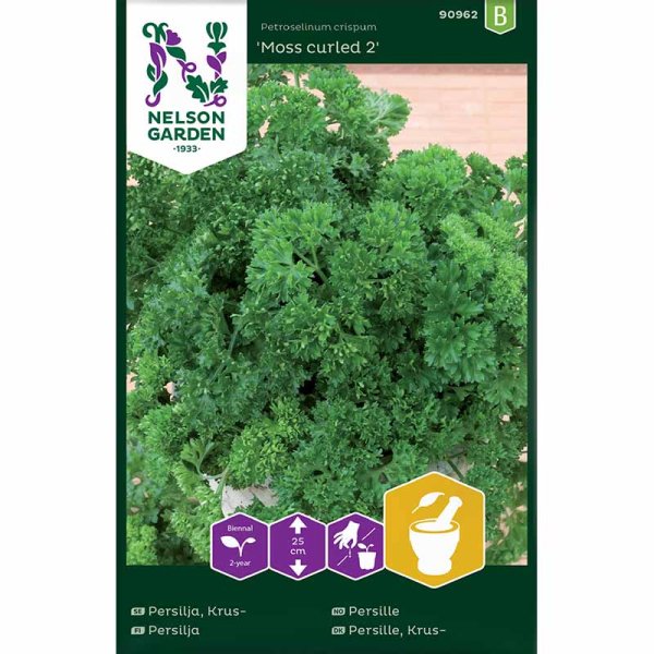 Bladpersille 'Moss curled 2'