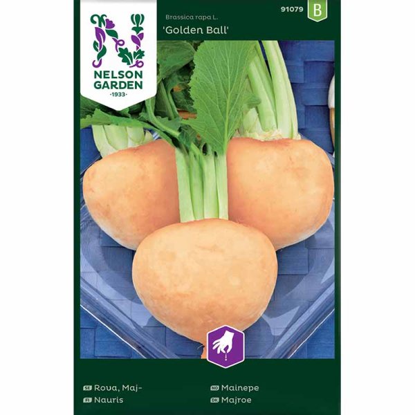 Majroe 'Golden Ball'