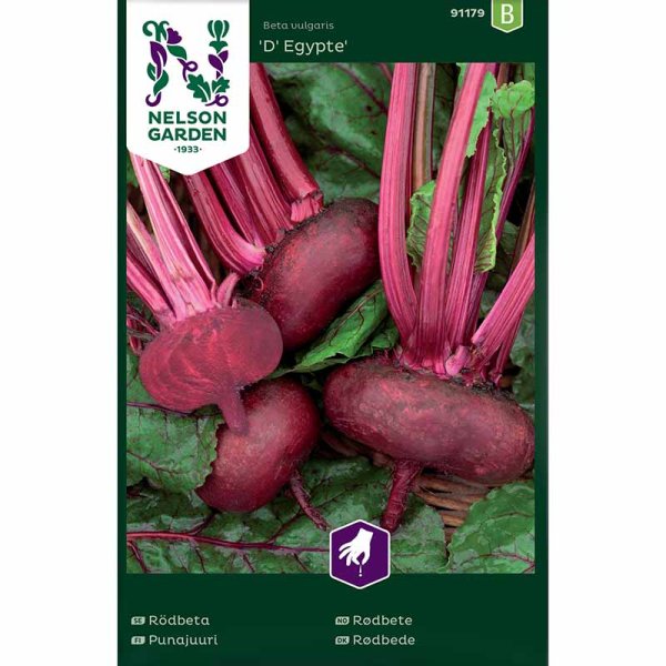 Rødbede 'D' Egypte'