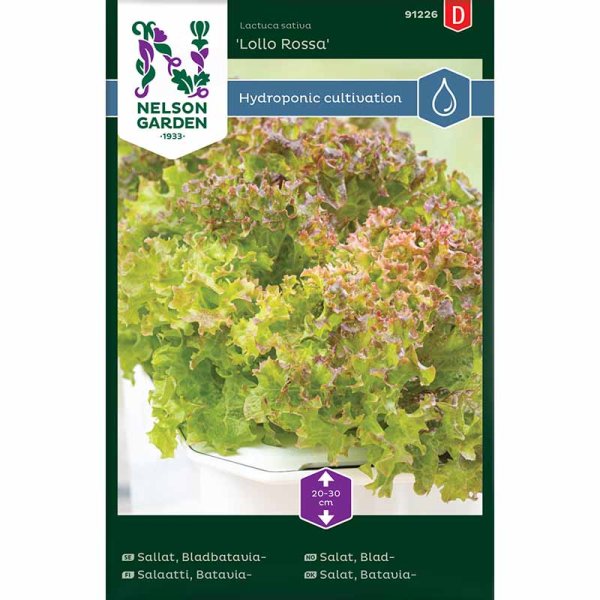 Bataviasalat 'Lollo Rossa' - Harvy