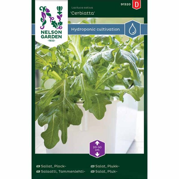 Pluksalat 'Cerbiatta' - Harvy