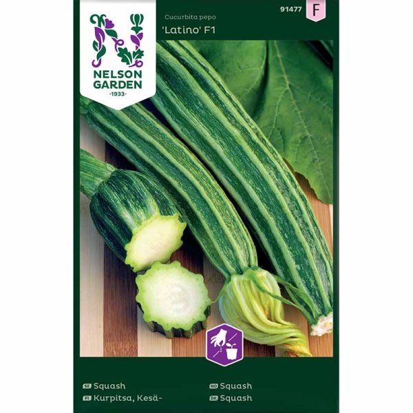 Squash 'Latino' F1