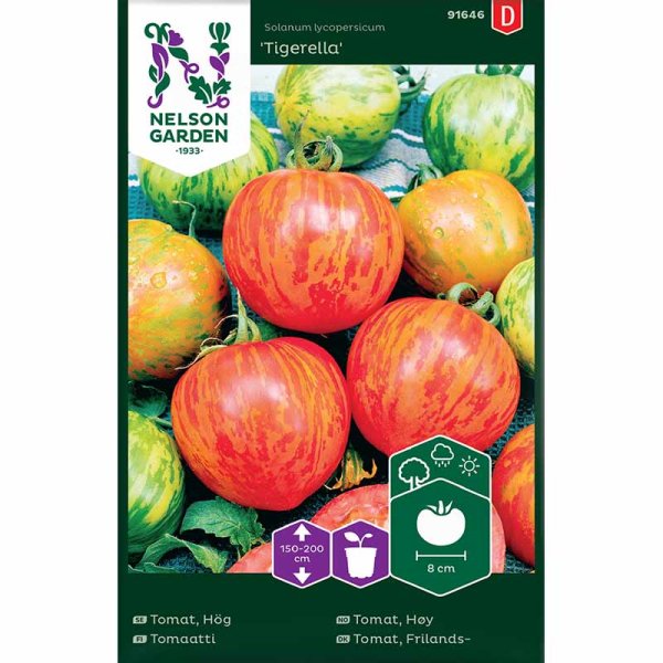 Høj tomat 'Tigerella'