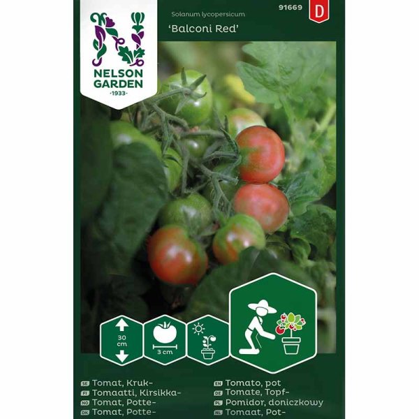Tomato 'Balconi Red'