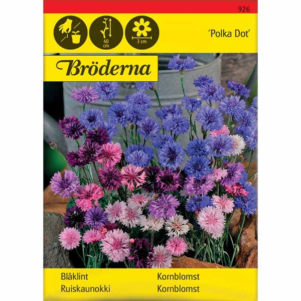 Kornblomst 'Polka Dot'