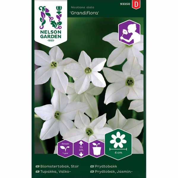 Stor prydtobak 'Grandiflora'
