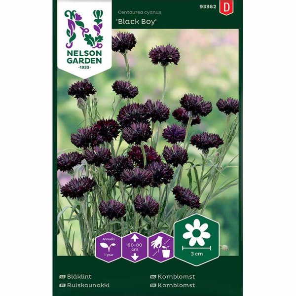Kornblomst 'Black Boy'