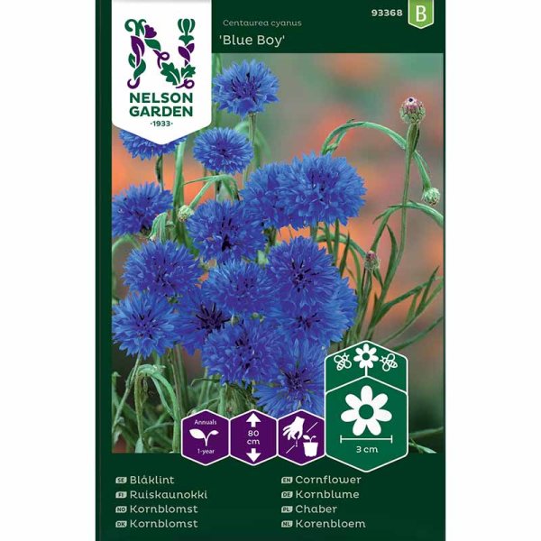 Kornblomst 'Blue Boy'