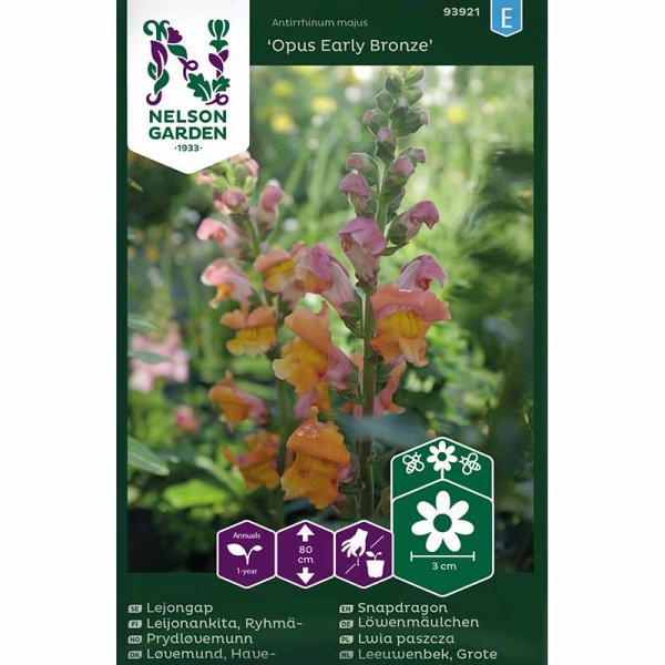 Løvemund 'Opus Early Bronze' F1