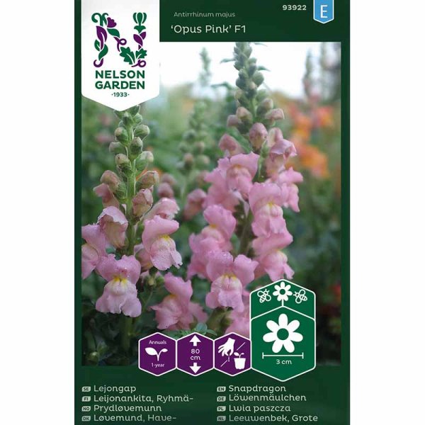 Løvemund 'Opus Pink' F1