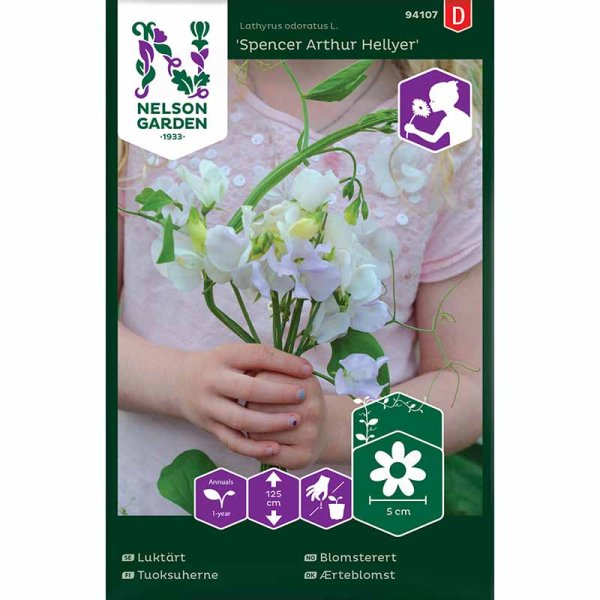 Ært blomster 'Spencer Arthur Hellyer'