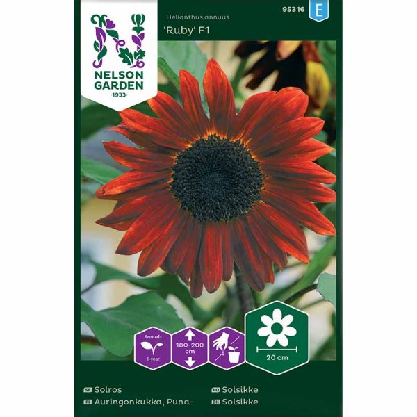 Solsikke 'Ruby' F1