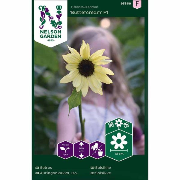Sunflower 'Buttercream' F1