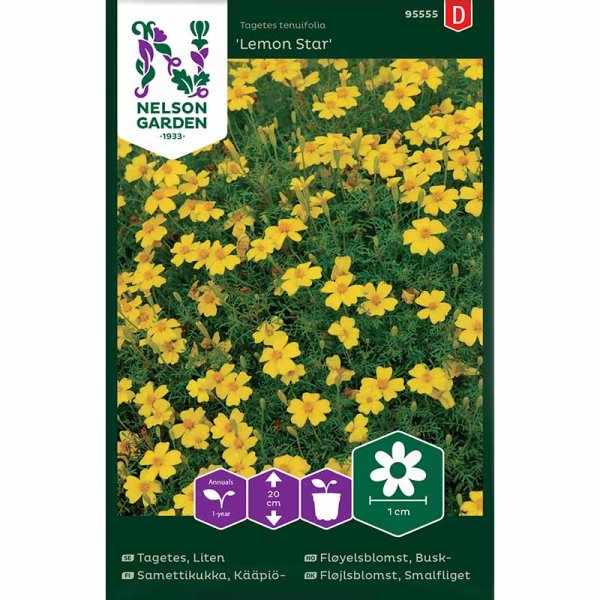 Dværgtagetes 'Lemon Star'