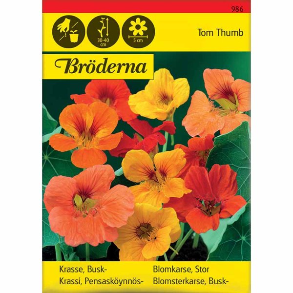 Buskblomsterkarse 'Tom Thumb'