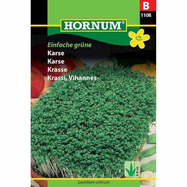 Karse 'Einfache grüne'