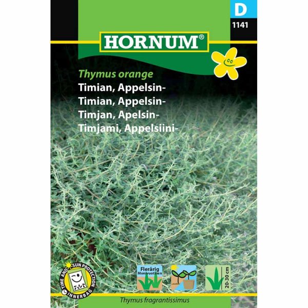 Appelsintimian 'Thymus orange'