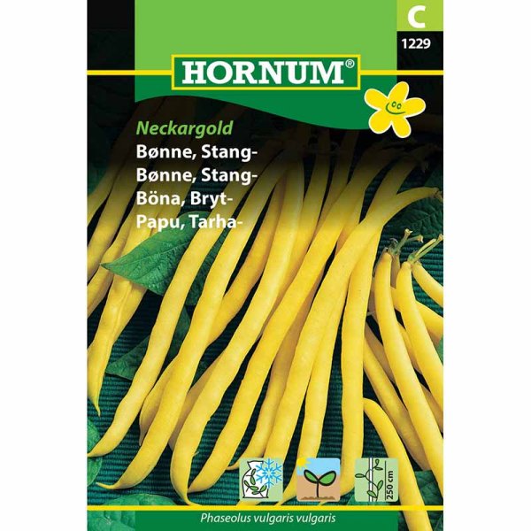 Snittebønne 'Neckargold'