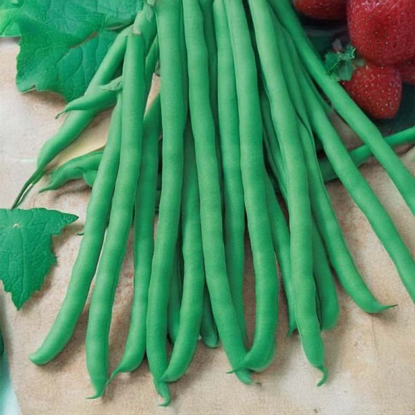 Snittebønne 'Rakker'
