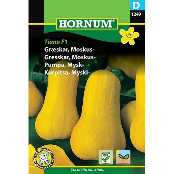 Moskusgræskar 'Tiana' F1