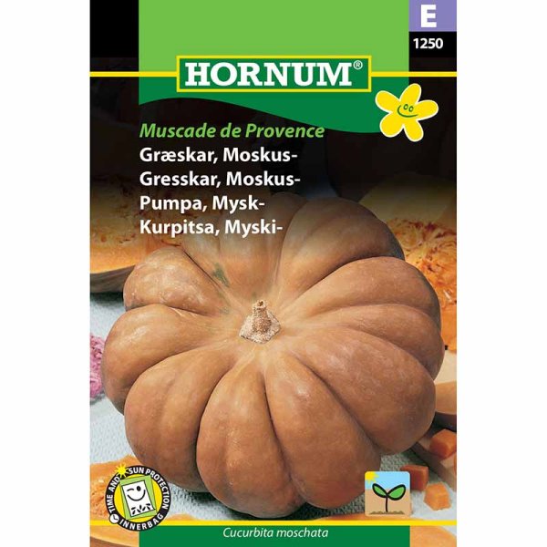 Moskusgræskar 'Muscade de Provence'