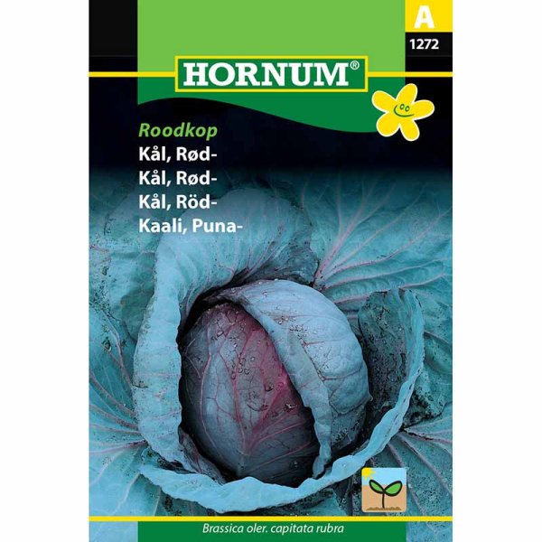 Rødkål 'Roodkop'