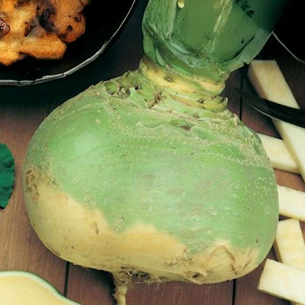 Kålroe 'Gelbe Wilhelmsburger'