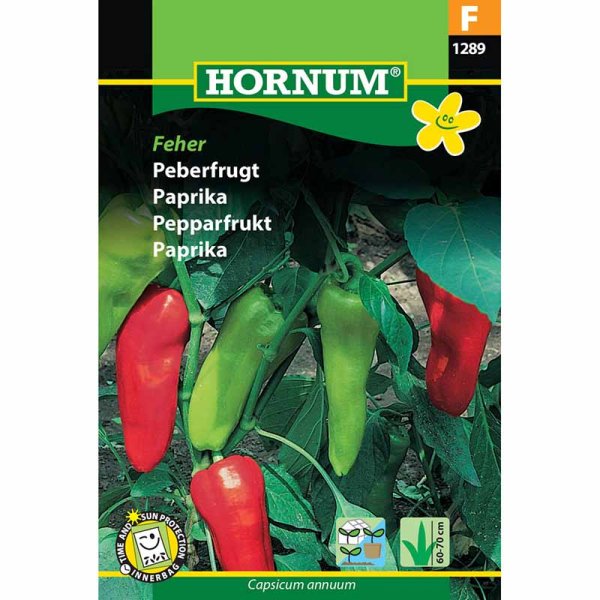 Sød peber 'Kostas' F1